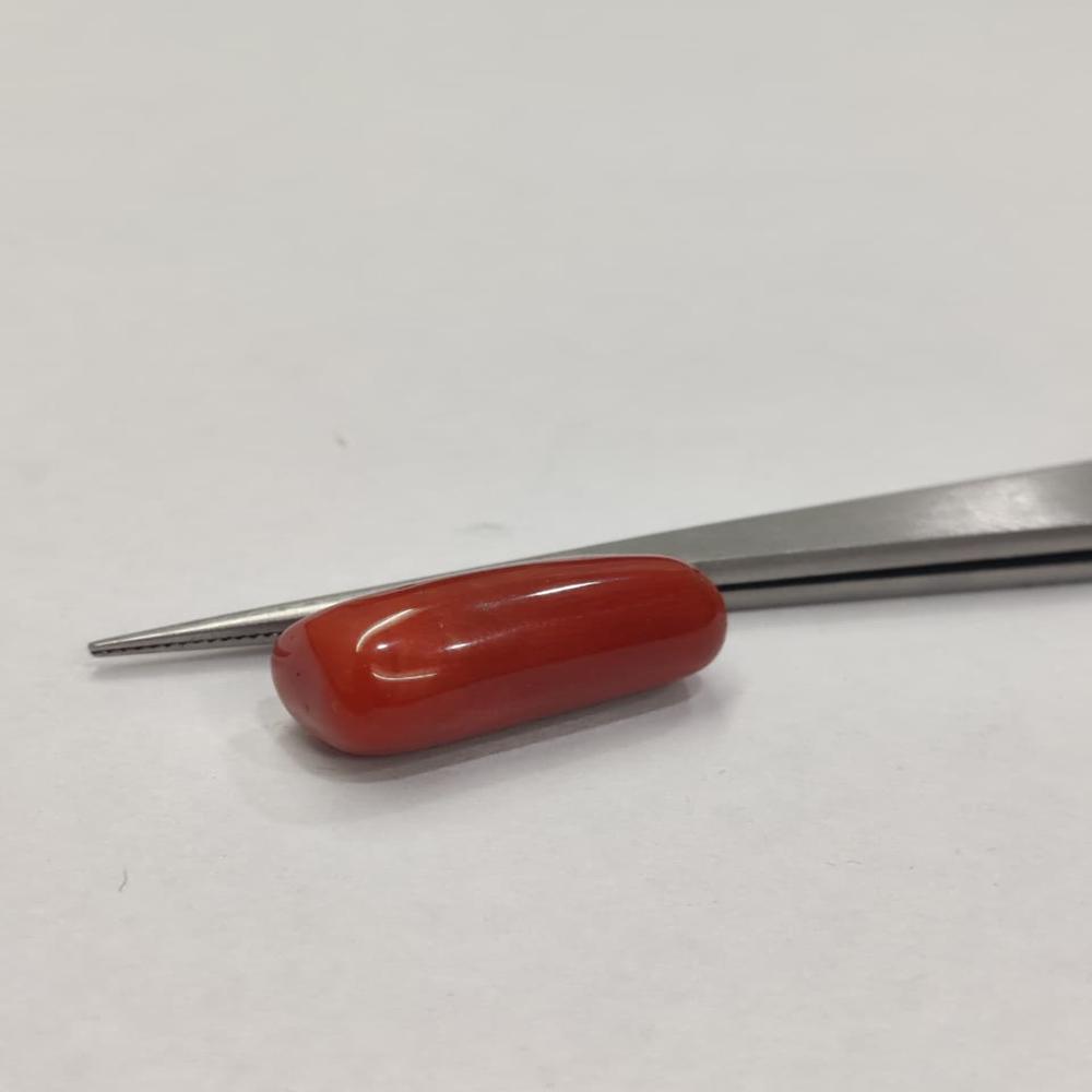 Natural Red Coral 14.60 ratti (Moonga)
