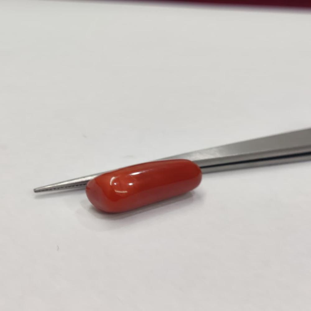 Natural Red Coral 14.60 ratti (Moonga)