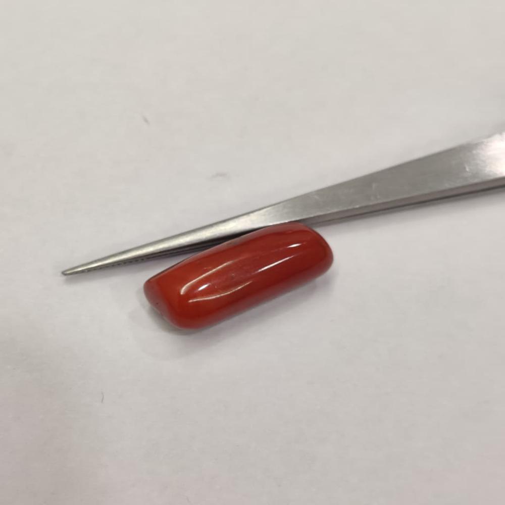 Natural Red Coral 14.60 ratti (Moonga)