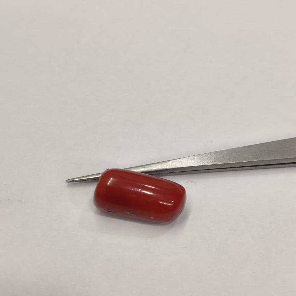 Natural Red Coral 20.90 Carat (Moonga)