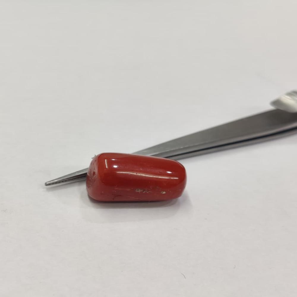 Natural Red Coral 20.90 Carat (Moonga)