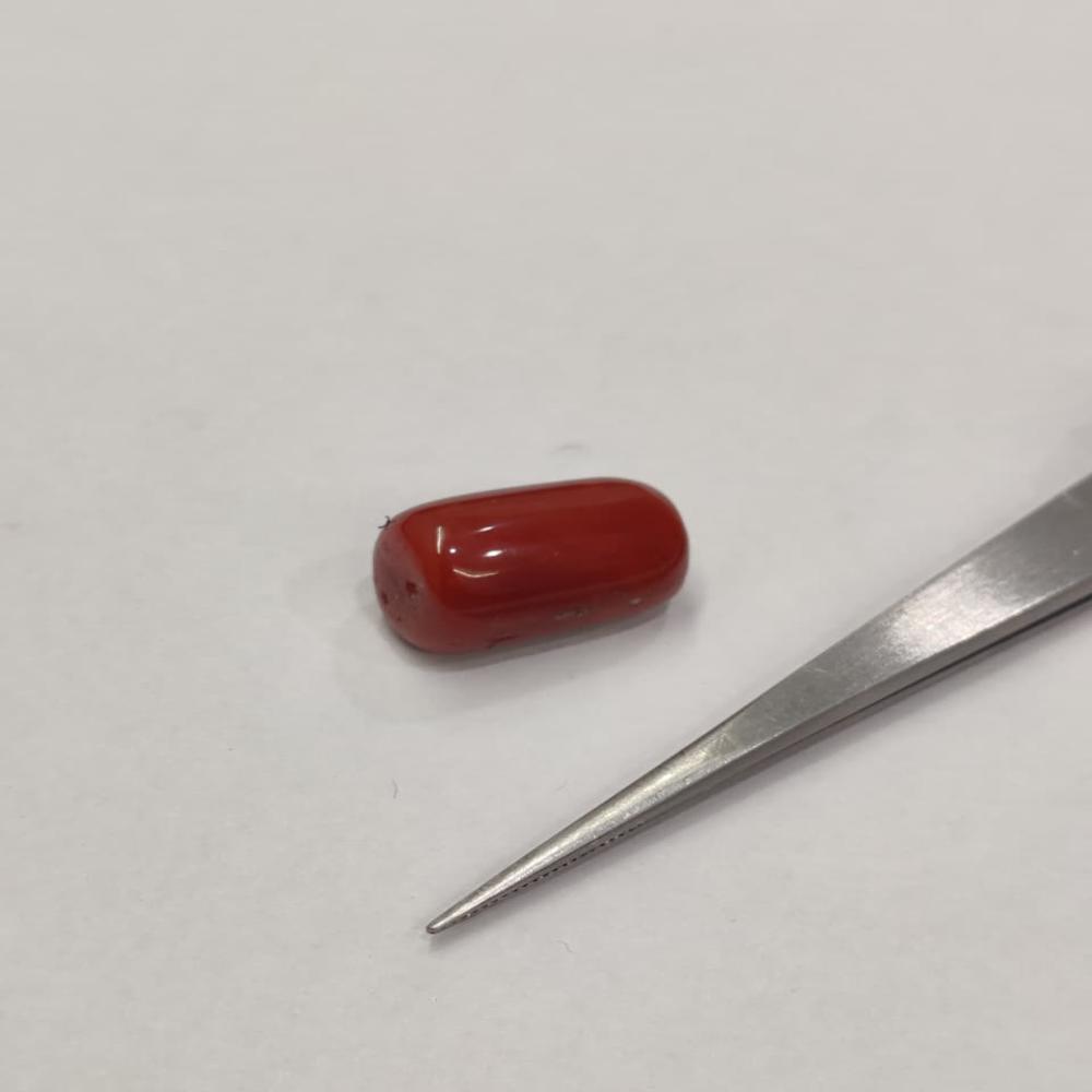 Natural Red Coral 20.90 Carat (Moonga)