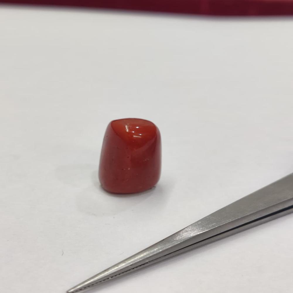 Natural Red Coral 20.90 Carat (Moonga)