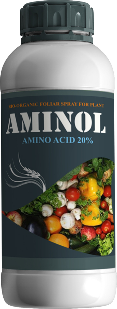 Aminol Amino Acid 20%