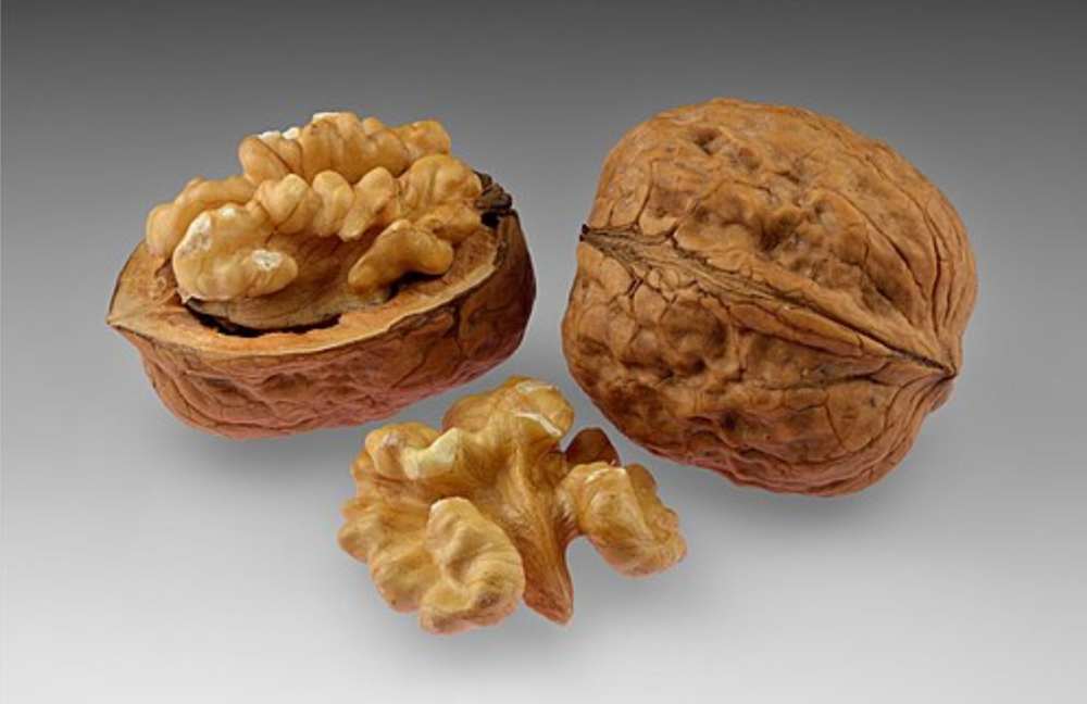 Dry Fruits