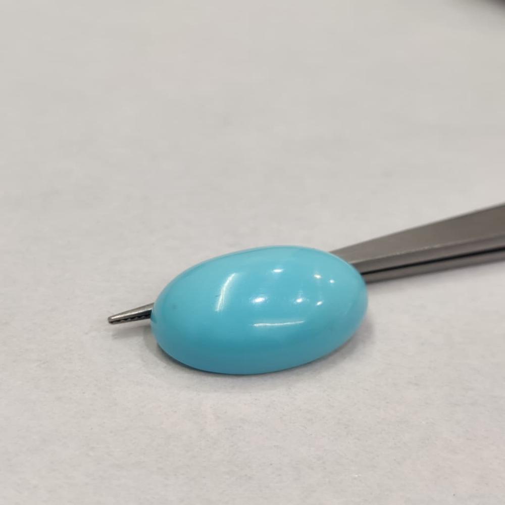 Natural Irani Turquoise 12.10 Carat (Firoza)
