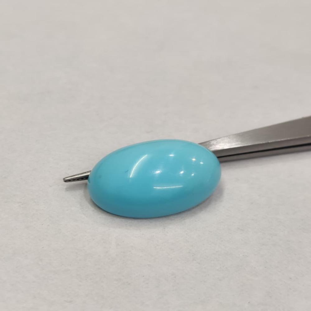 Natural Irani Turquoise 12.10 Carat (Firoza)