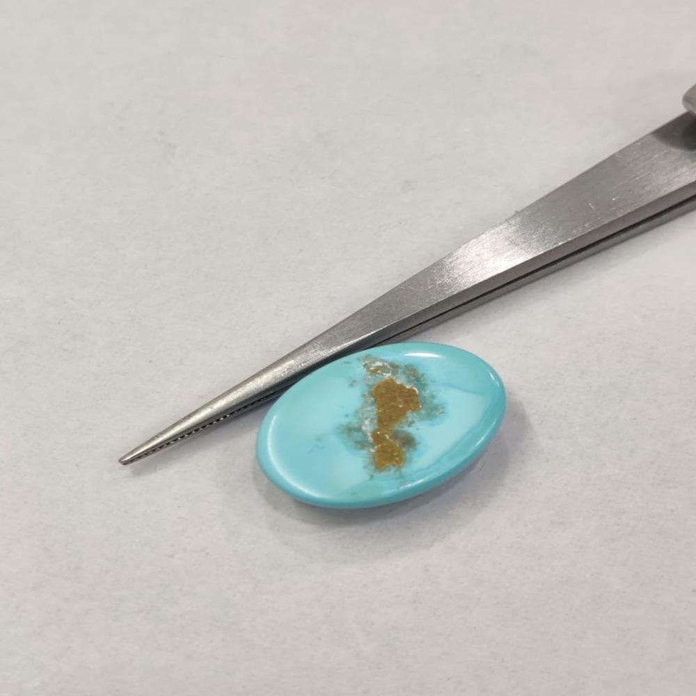 Natural Irani Turquoise 12.10 Carat (Firoza)