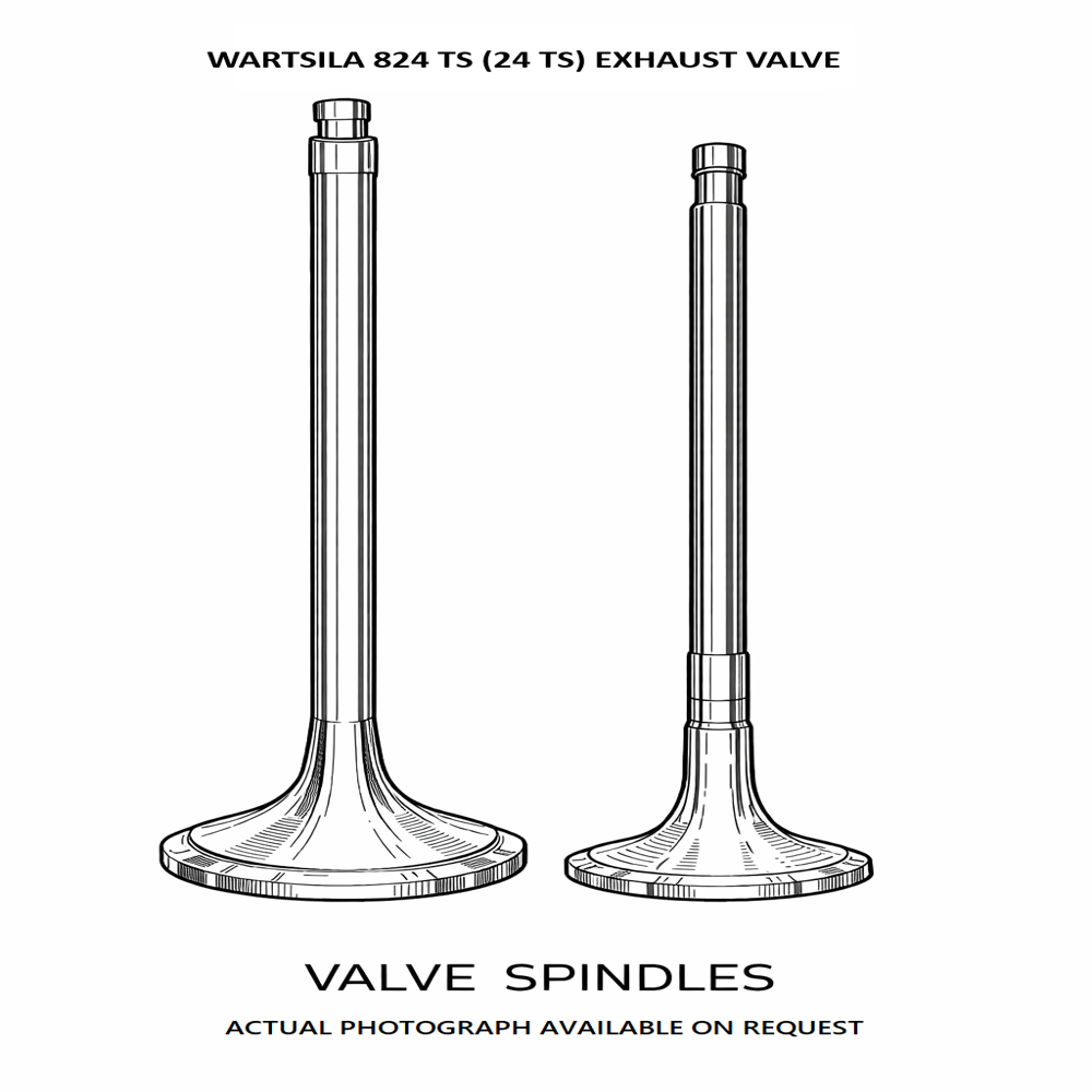 WARTSILA 824 TS (24 TS) Exhaust Valve