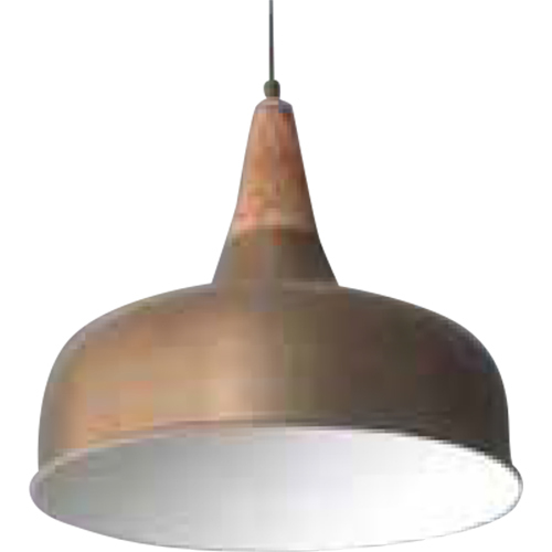 RSNL 0005 Hanging Light