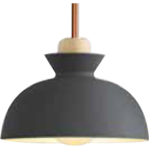 RSNL 0008 Hanging Light