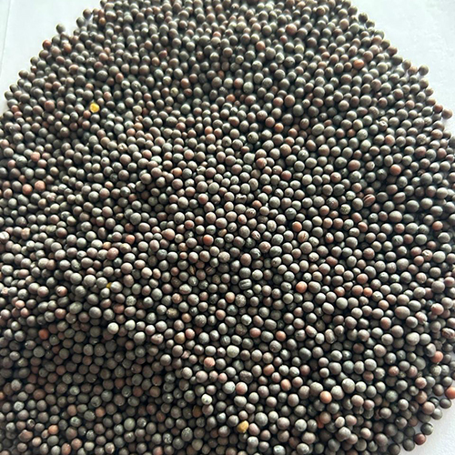 Mustard Seeds