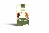 Phytase Feed Additive - Shelf Life: 1 Years