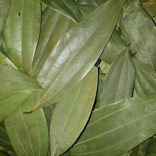 Dried Bay Leaf