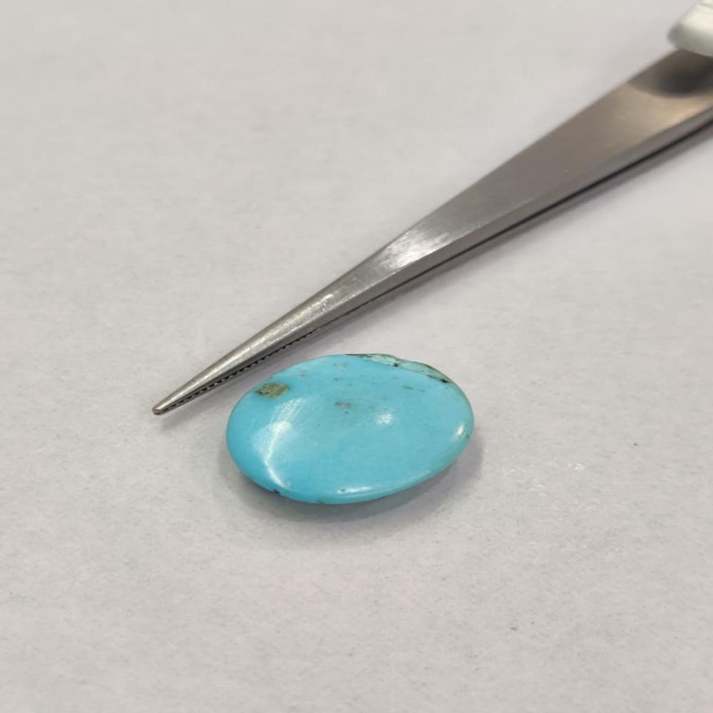 Natural Irani Turquoise 7.15 Carat (Firoza)
