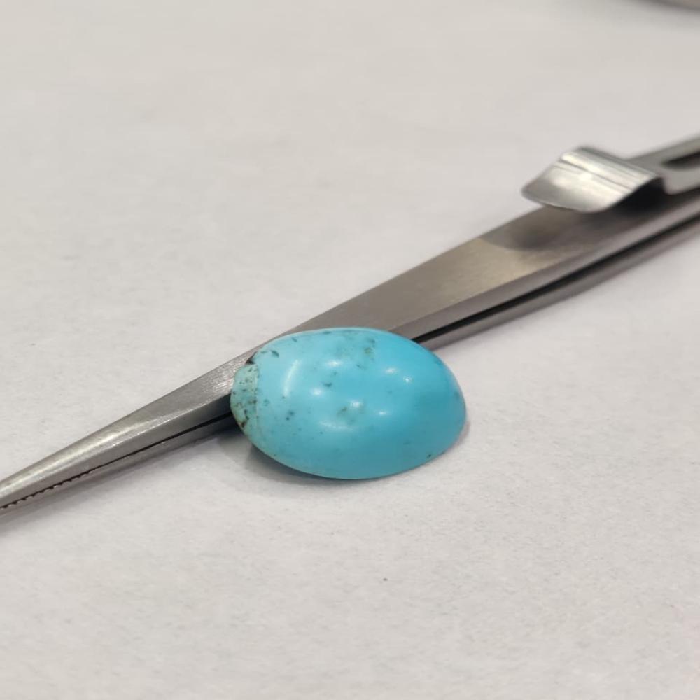 Natural Irani Turquoise 7.15 Carat (Firoza)