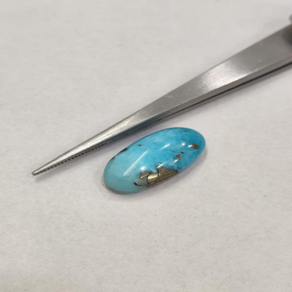 Natural Irani Firoza 9.70 Carat (Firoza)