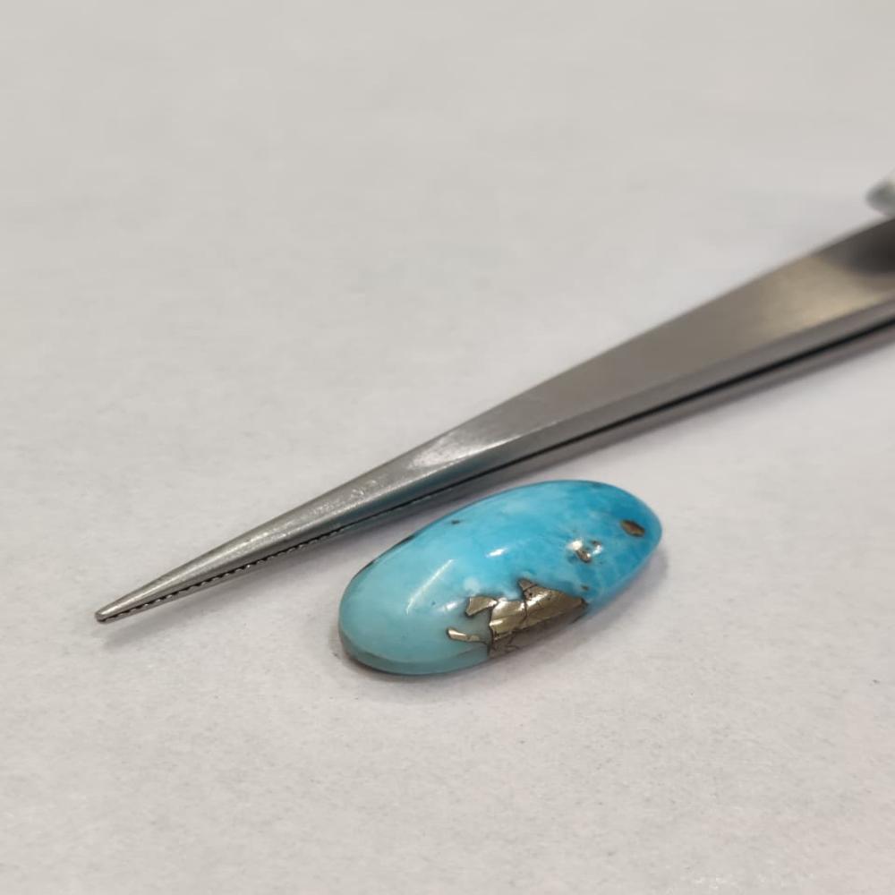 Natural Irani Firoza 9.70 Carat (Firoza)