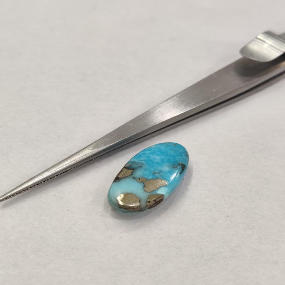 Natural Irani Firoza 9.70 Carat (Firoza)