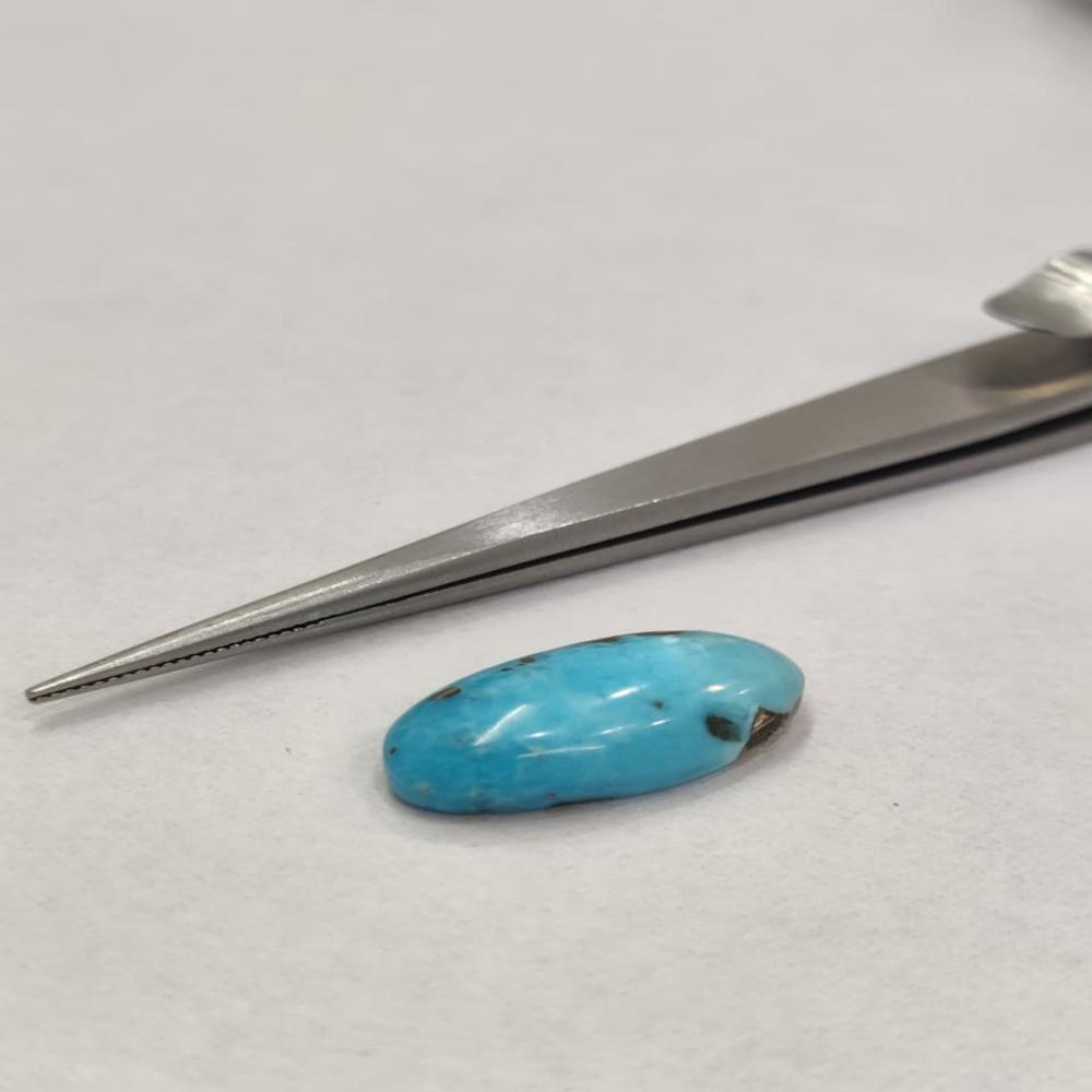 Natural Irani Firoza 9.70 Carat (Firoza)