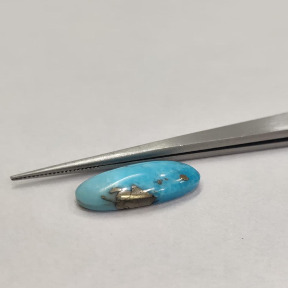 Natural Irani Firoza 9.70 Carat (Firoza)