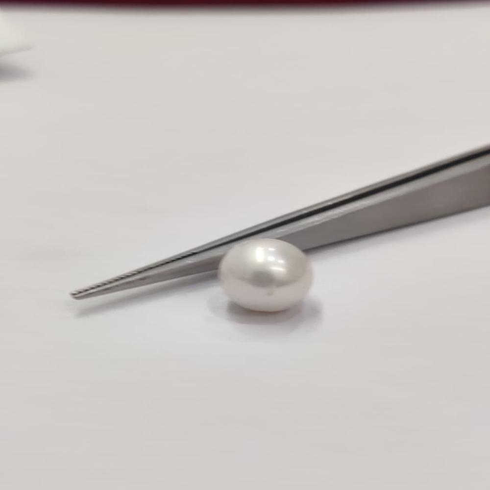 Natural South Sea Pearl 4.80 Carat (Moti)
