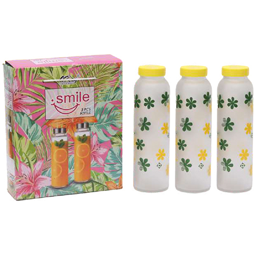 Frost Colour Bottle Smile Water Bottle 750ml