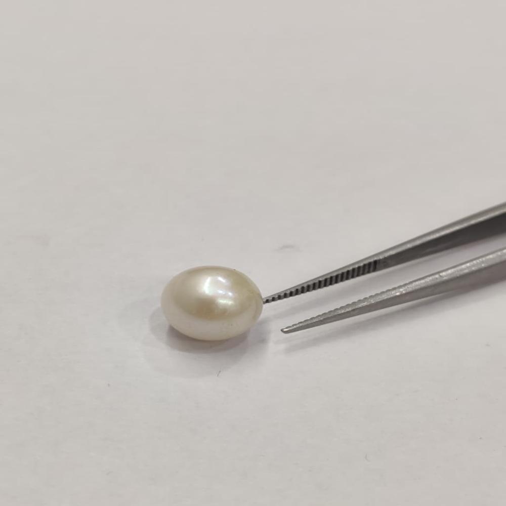 Natural South Sea Pearl 5 Carat (Moti)