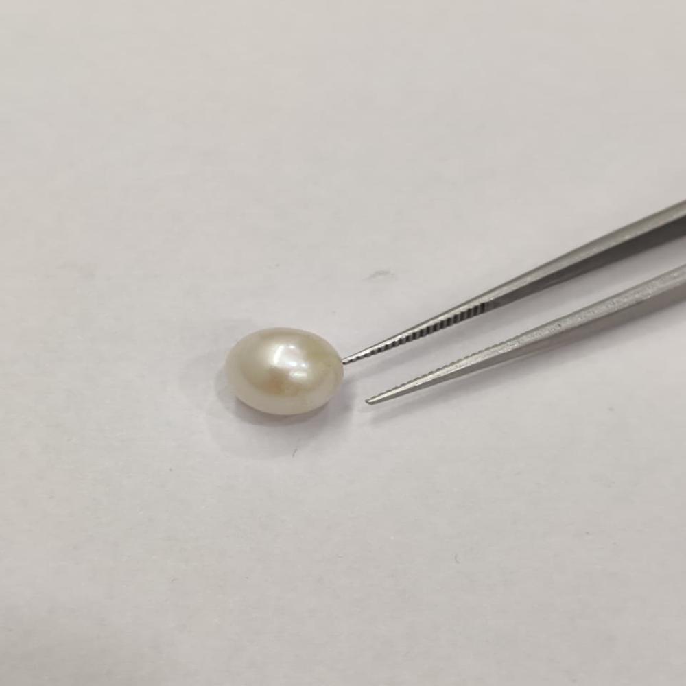 Natural South Sea Pearl 5 Carat (Moti)