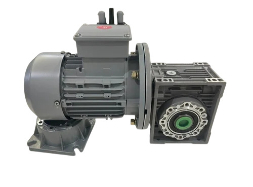 Worm Gear Motor