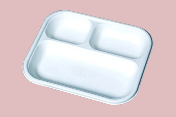 3 Compartment Bagasse Plates