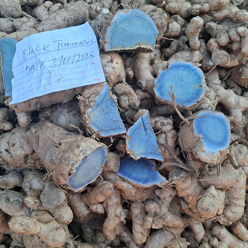 Black Turmeric (Curcuma Caesia)