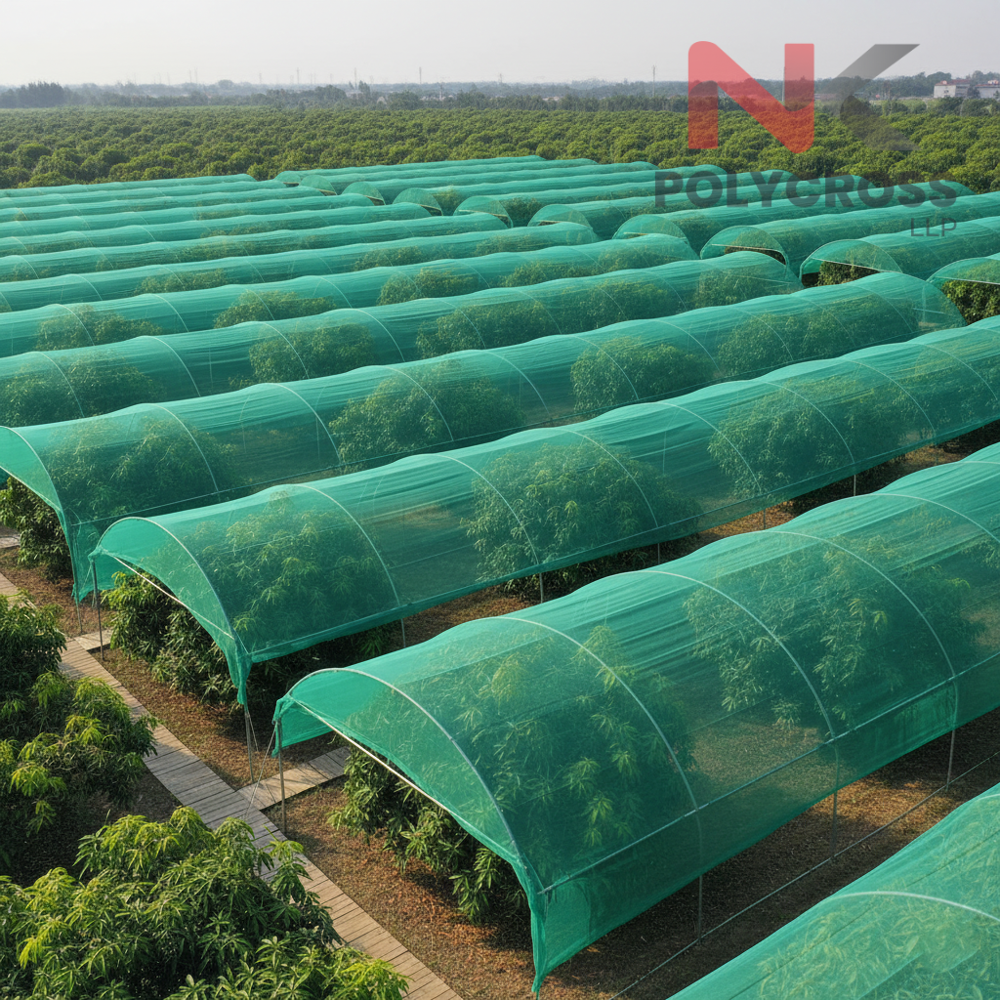 Banana Plantation Cover