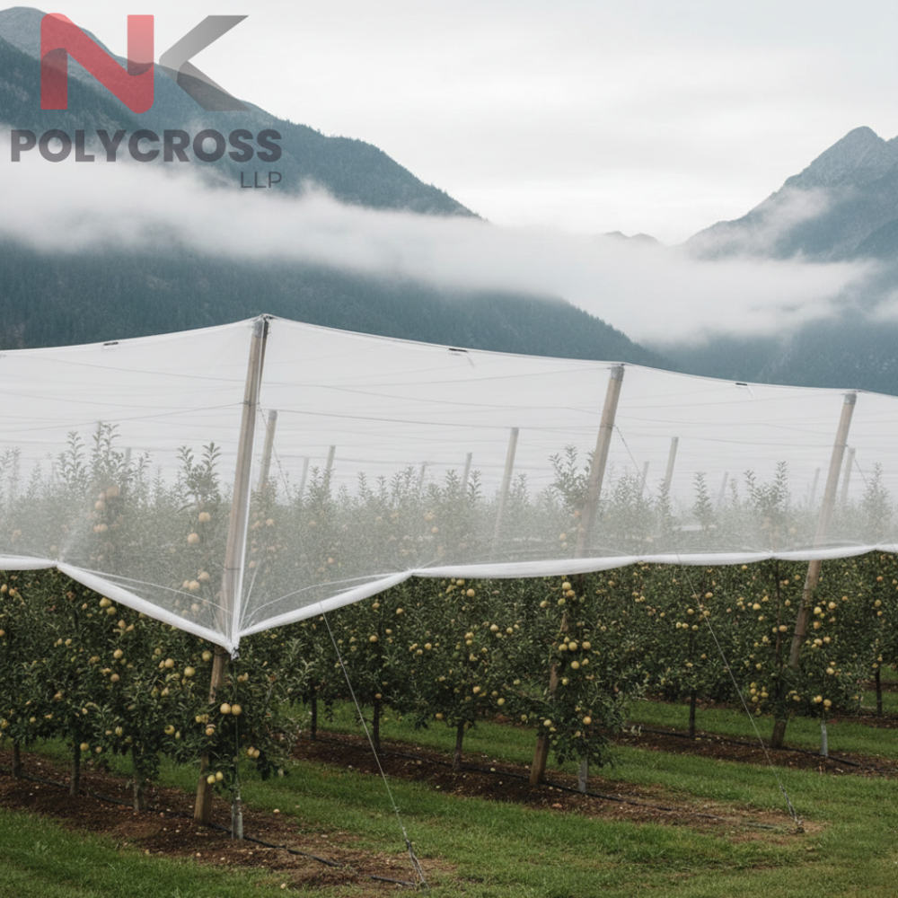 Vineyard Cover - Color: Blue