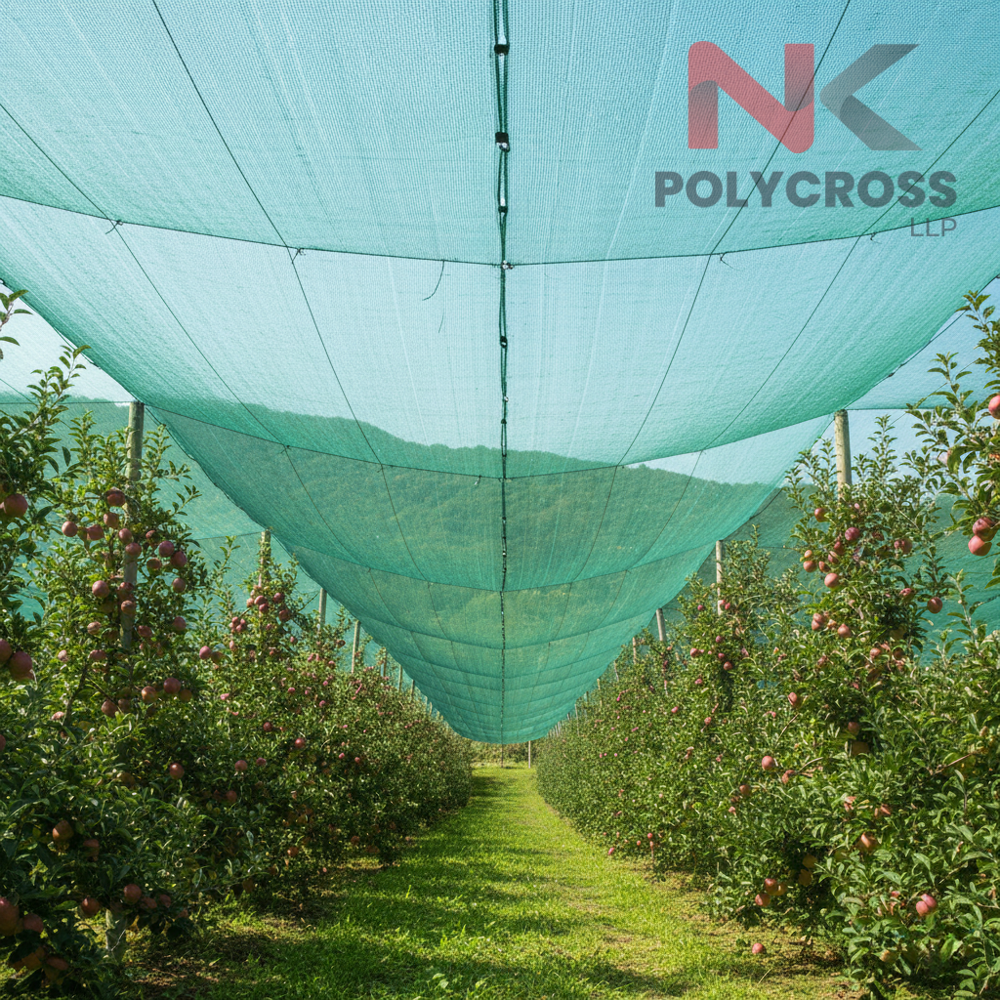 Vineyard Cover - Color: Blue