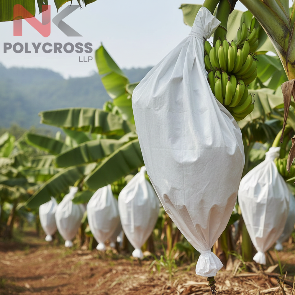 Dragon Fruit Farm Cover