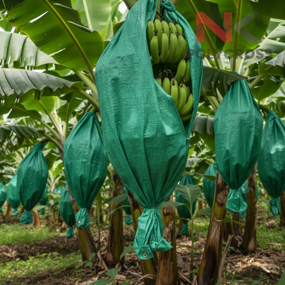 Dragon Fruit Farm Cover - Color: Blue