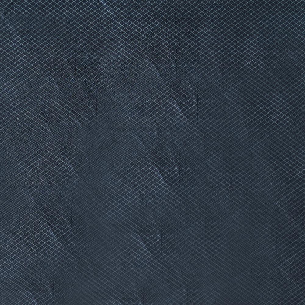 Printed Tussar Silk Saree