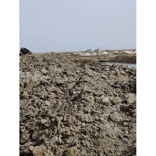 Unwashed Marine Gypsum