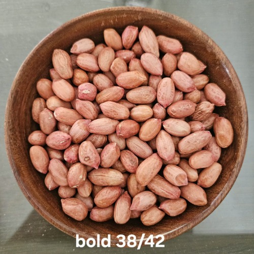 Raw Peanut Kernel - Feature: Bold Variety