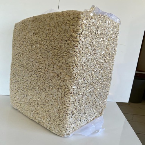 Roasted Diced Peanut - Feature: With No Shell
