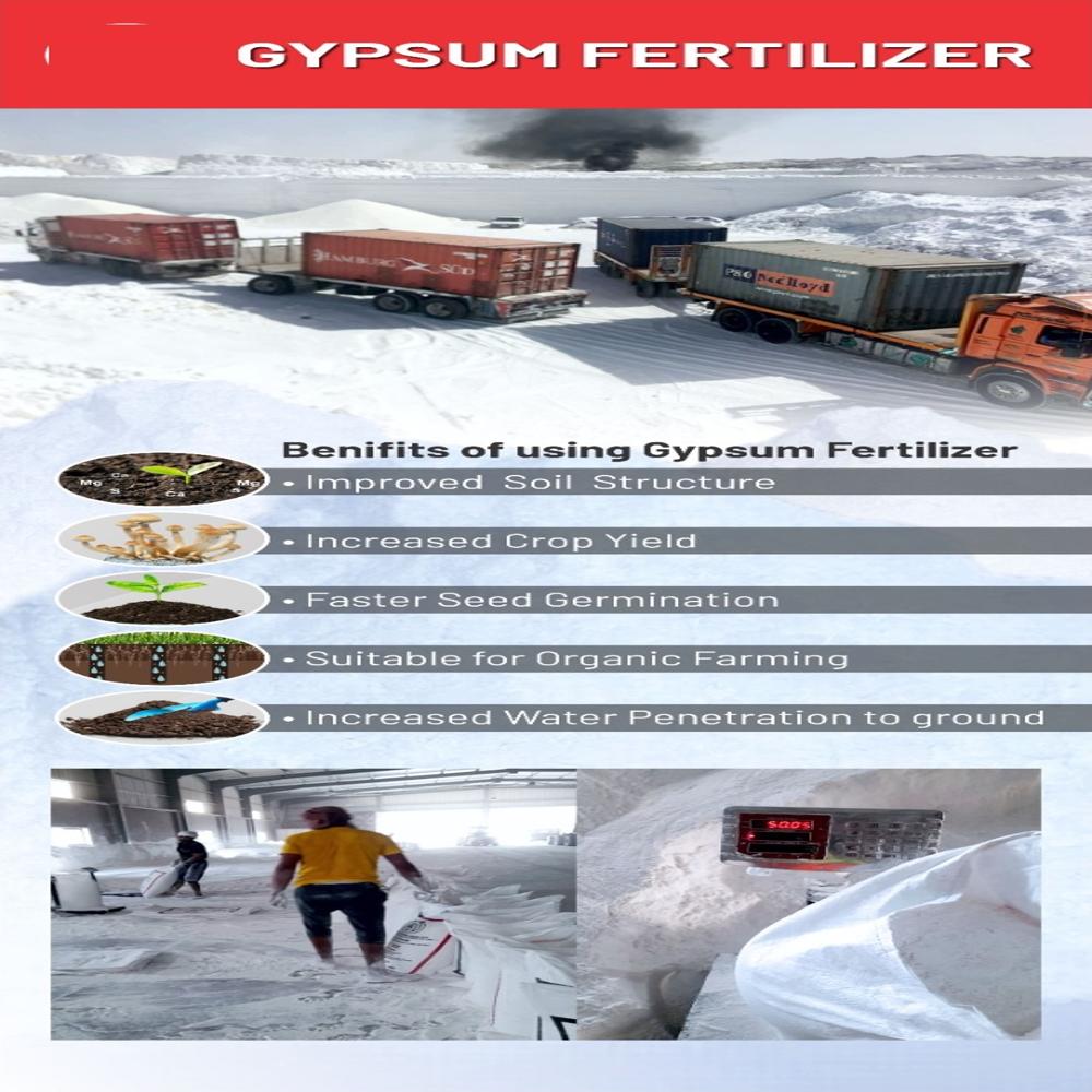 Agricultural Gypsum Fertilizer Powder