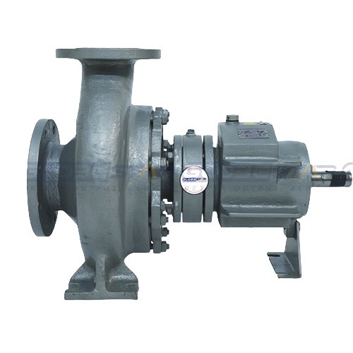 Centrifugal Thermic Fluid Hot Oil Pump