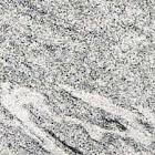 मैडी व्हाइट