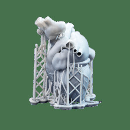 DLP 3D Printing Service