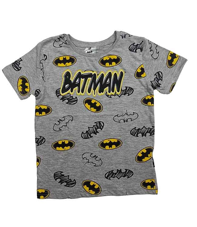 B16473 Character Boys Printed T-Shirts Assorted