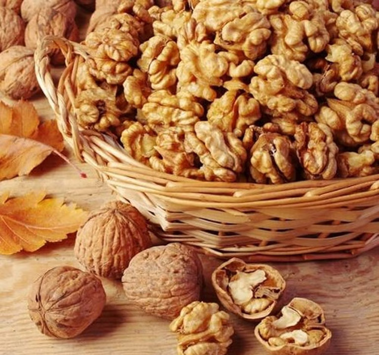 Indian Walnuts