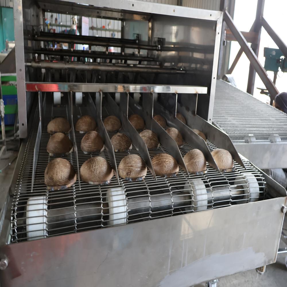 SS 304 Coconut Shell Washing Conveyor