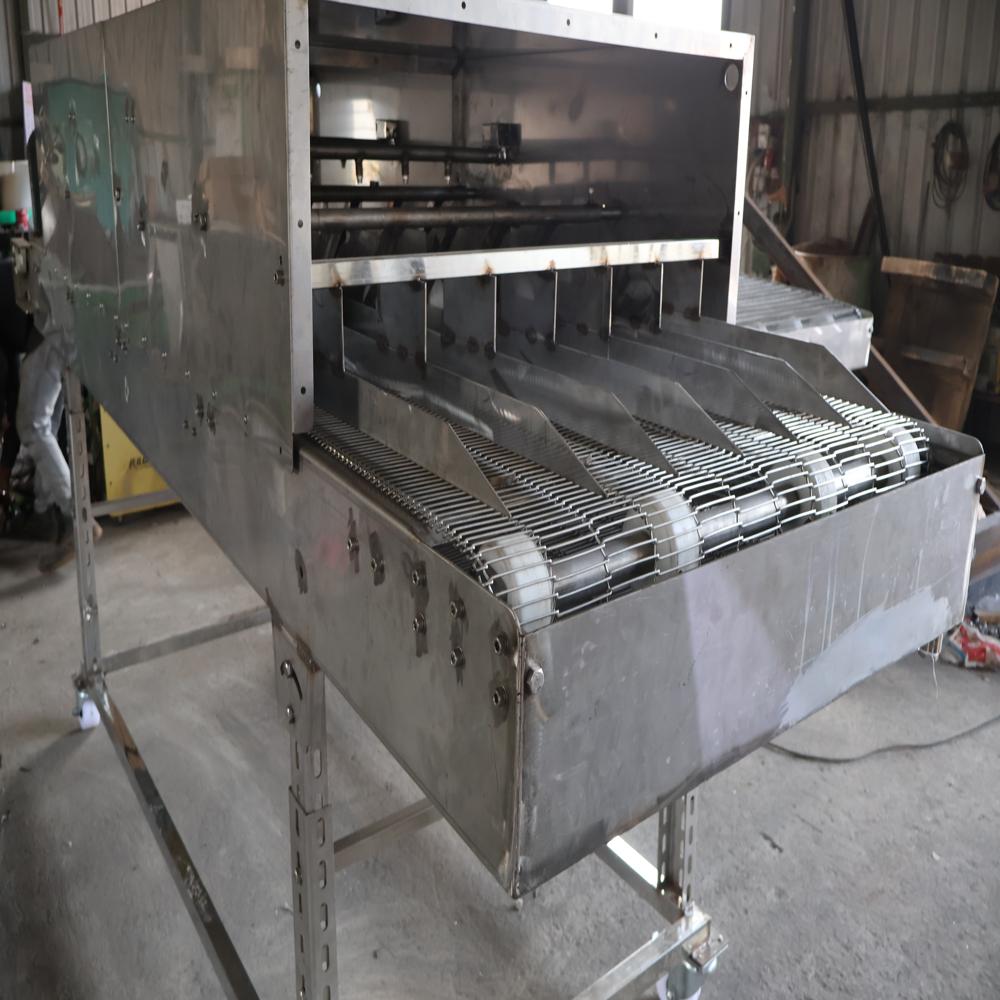 SS 304 Coconut Shell Washing Conveyor