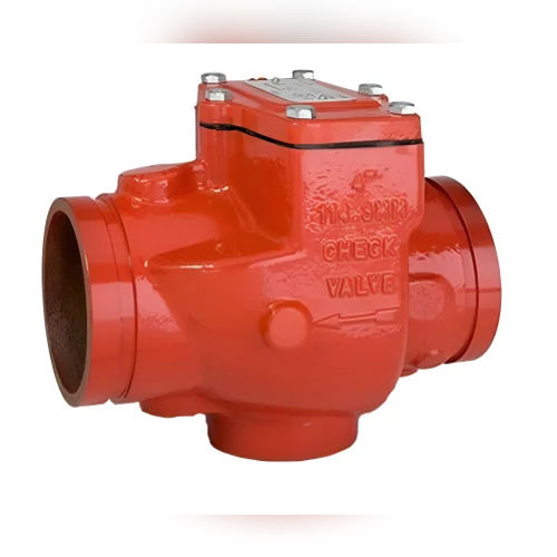 Tyco Nrv Swing Check Valve